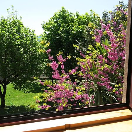 Casa Dos Tinocos Βίλα Μπράγκα Εξωτερικό φωτογραφία