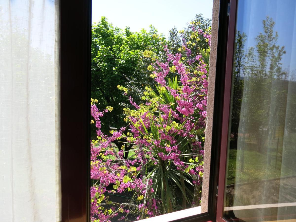 Casa Dos Tinocos Βίλα Μπράγκα Εξωτερικό φωτογραφία