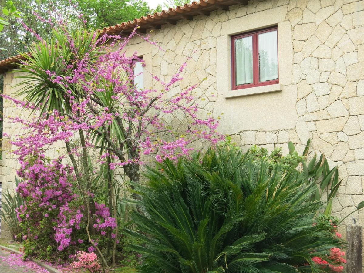 Casa Dos Tinocos Βίλα Μπράγκα Εξωτερικό φωτογραφία